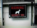 Pit bull attacks woman owner
