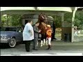 Le bon cheval pour la bonne discipline