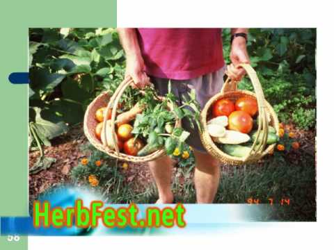 how to fertilize soil naturally