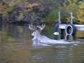 gone fishin gone fishin