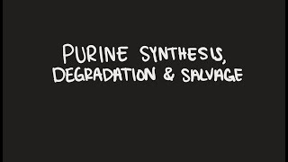 Purine Biosynthesis, Degradation, and Salvage
