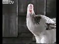 Publicidad 1990 (TVE) (3) Publicidad 1990 (TVE) (3)