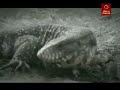 Fin Del Mundo || Gran Glaciacion || (Spanish)