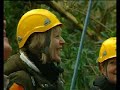 High Ropes and Low Ropes Courses Ireland High Ropes and Low Ropes Courses Ireland