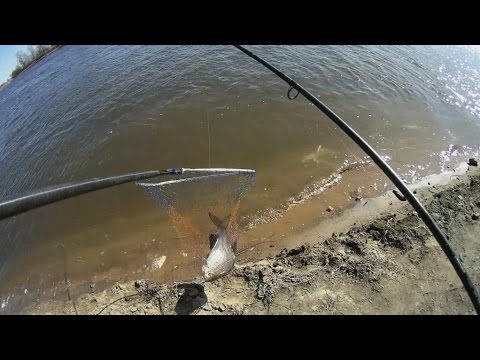 ловим леща в москве реке ловим леща в москве реке