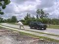 Fake-Rope-Prank