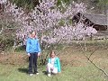 north georgia vacation