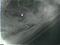 OVNIS grabados por la NASA