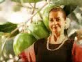 Andalucian Girl Extra Virgin Oil olive groves video in Spain