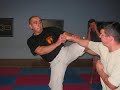 sekcja modern ju-jitsu swindon sekcja modern ju-jitsu swindon
