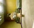 Click to View