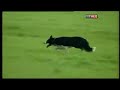 Aled Owen - Finale du Championnat du Monde 2008 2/2