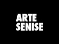Daniel Senise em projeto com a Absolut Brasil
