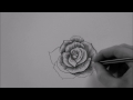 How to Draw a Cool Rose Step by Step