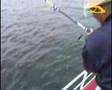 Vissen op de Noordzee