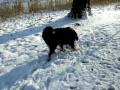 B'Elanna even los en sneeuw is toch wel leuk