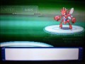 Pokemon Platin: Top4- Kampf: Herbaro