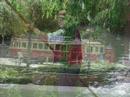 Christchurch Tourism