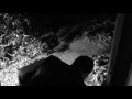 liebes-diebe-digitus-filme.html