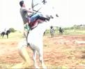 replec cavalls can bar�a 2008 ciutadella part3