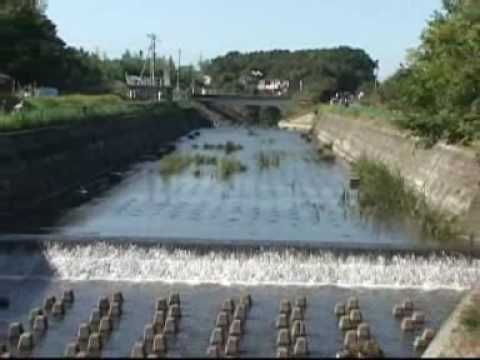 how to cure eutrophication