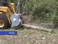 Baumalight Mulcher