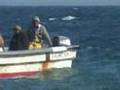 Caleta Horcon Parte I