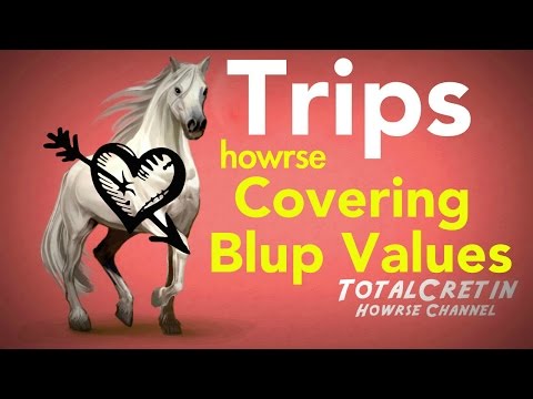 how to start off your ec on howrse