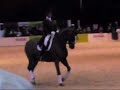 Carl Hester at your horse live 2007