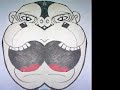 ANIMAL CARTOON ANIMAL CARTOON