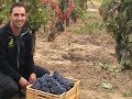 AXIAL VINOS - Bodegas Vallobera, DOCa Rioja