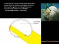 what is: Irreducible complexity?