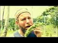 GANJA FIELD, HERBAL MEDITATION BY SMOKING HOLY MEDICATION