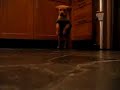 Leo The Labrador Puppy!