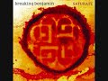 Breaking Benjamin – Natural Life