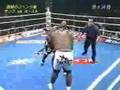 Ernesto Hoost vs Bob Sapp(2nd)