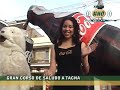 COLORIDO CORSO DE SALUDO A TACNA