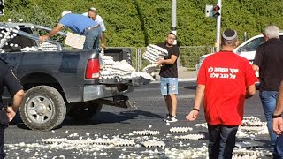 מאבק החקלאים כנגד הייבוא שיפגע בפרנסתם: “החליטו שהישראלים יאכלו תוצרת מטורקיה”