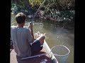 Roger Lands Huge Carp Roger Lands Huge Carp