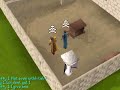Kingduffy 1 all lvl 99 skill capes Kingduffy 1 all lvl 99 skill capes