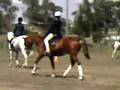 videos de HVHOBA show 2006