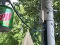 videos de mountain dew commerial