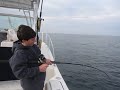 _VI_1732.MOV