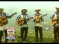 MARINERA PASION DEL PERU, baile peruano, folklore Perú música,musica andina, Peruana andina