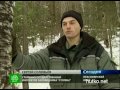 Видеоновость Красноярский край. Бродячие собаки атакуют заповедник "Столбы"