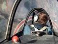 North American T-28 Trojan Rhoades Aviation