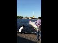 не утонул буран