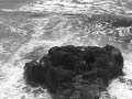 Marc Almond The Sea Still Sings Marc Almond The Sea Still Sings