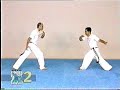 Advanced Capoeira. Mestre Paulao Ceara. 06