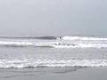 Eric's Christmas wave 05